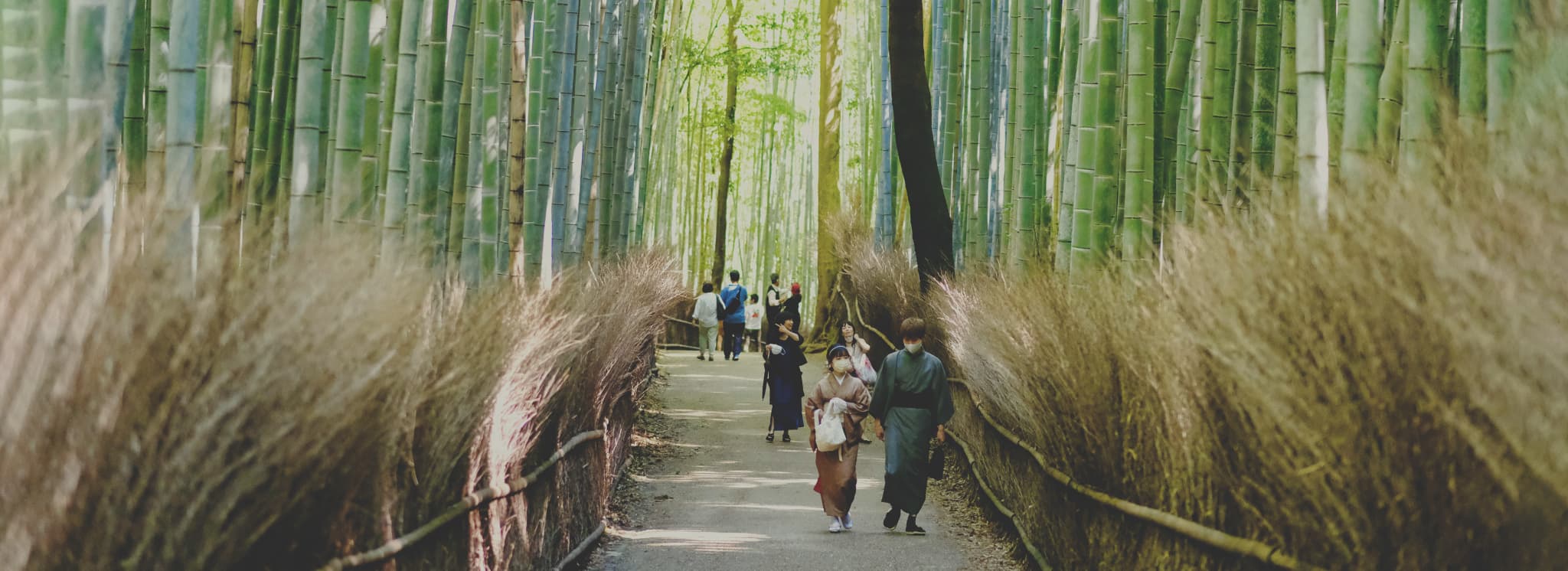 Main Visual of Who We Are